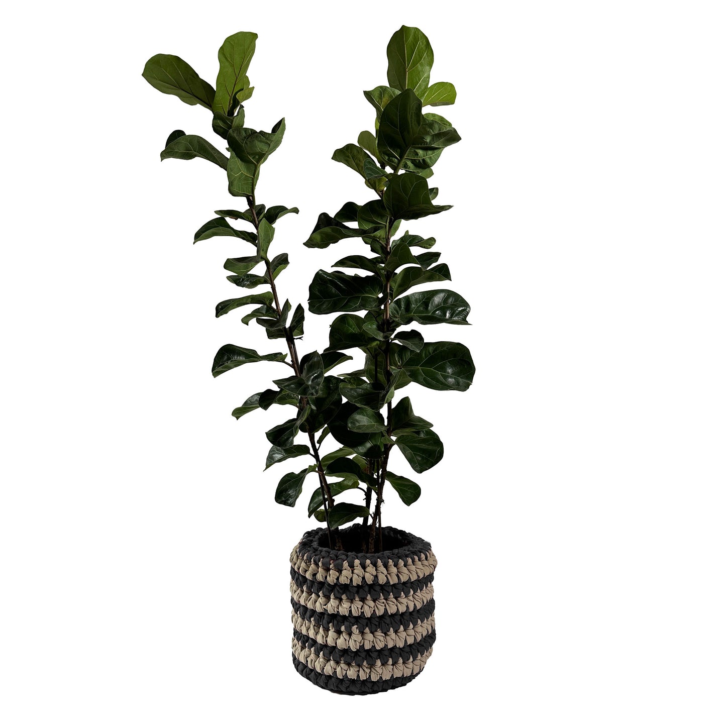 Cachepot Vaso Listra Outdoor 40x45 Cinza