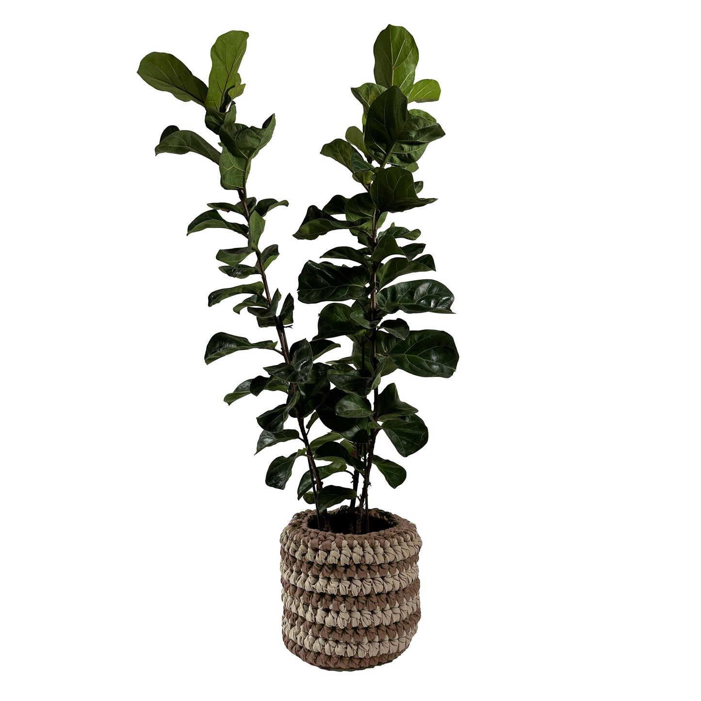 Cachepot Vaso Listra Outdoor 40x45 Fendi