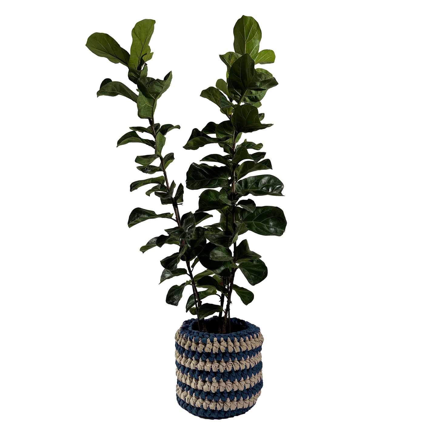 Cachepot Vaso Listra Outdoor 40x45 Marinho