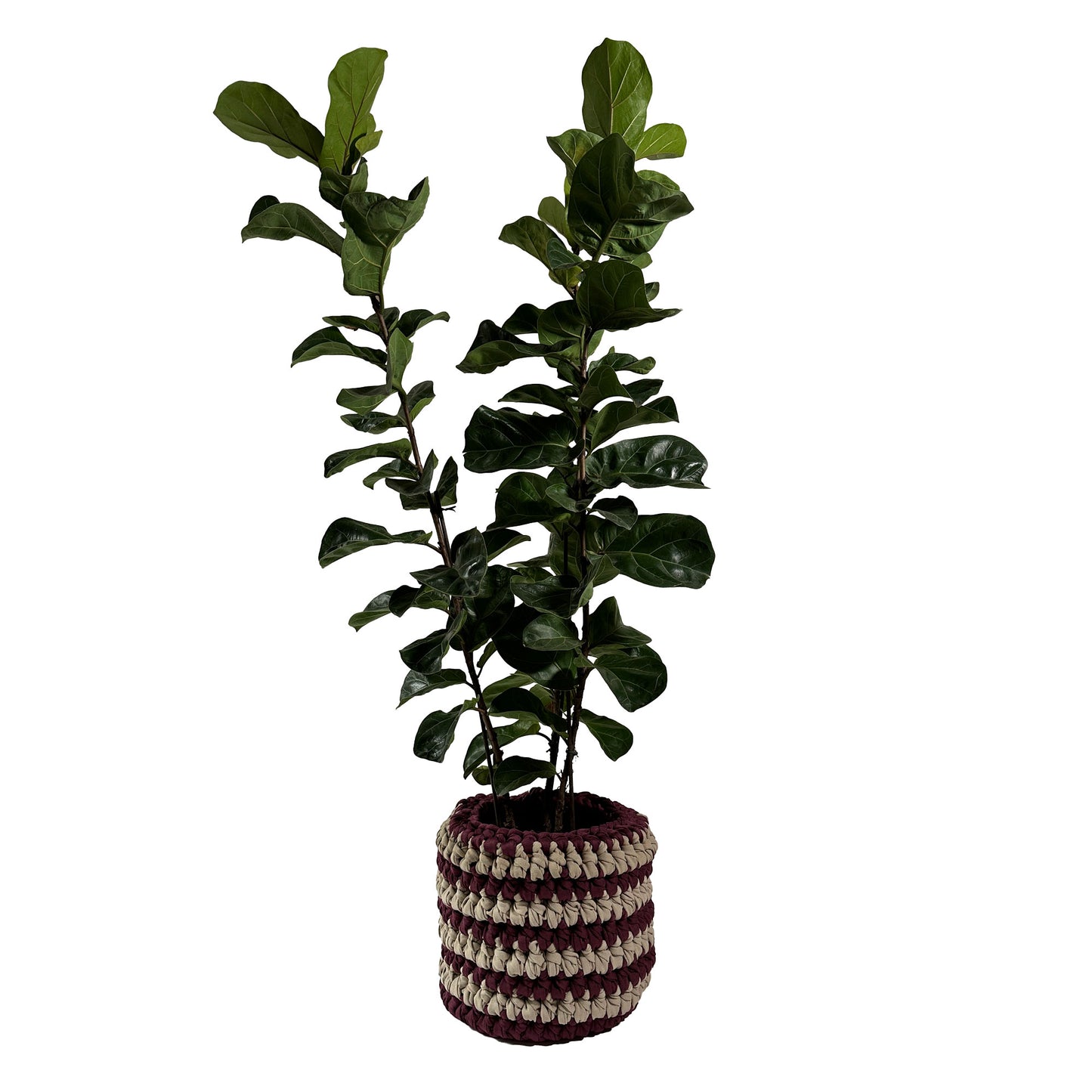Cachepot Vaso Listra Outdoor 40x45 Marsala