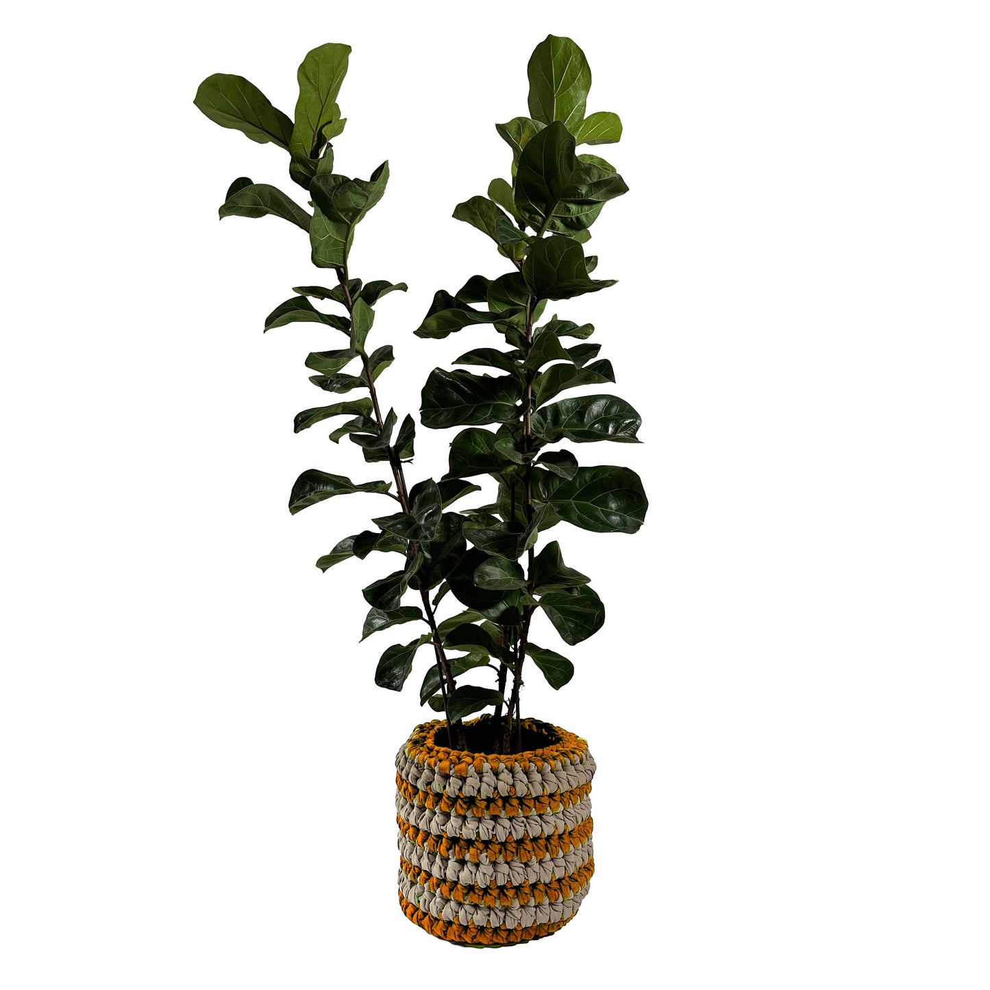 Cachepot Vaso Listra Outdoor 40x45  Mostarda
