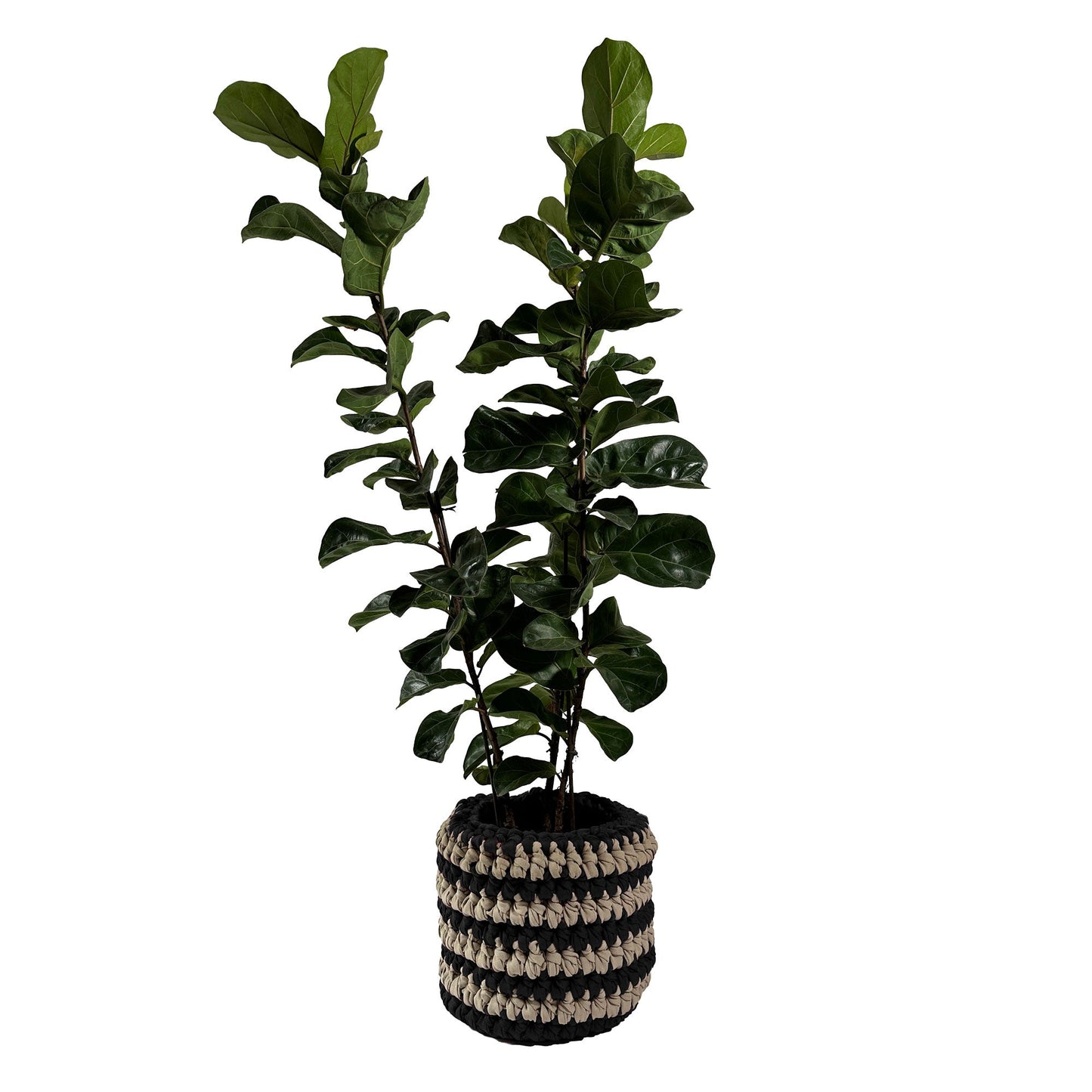 Cachepot Vaso Listra Outdoor 40x45 Preto Pronta Entrtega