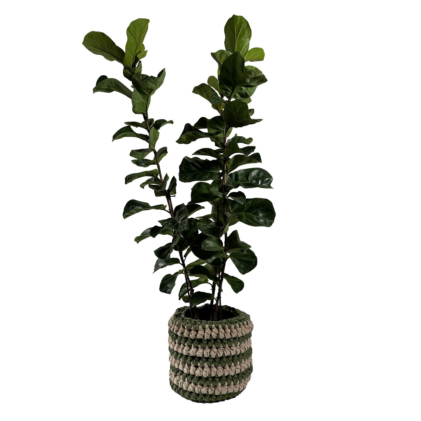 Cachepot Vaso Listra Outdoor 40x45 Verde
