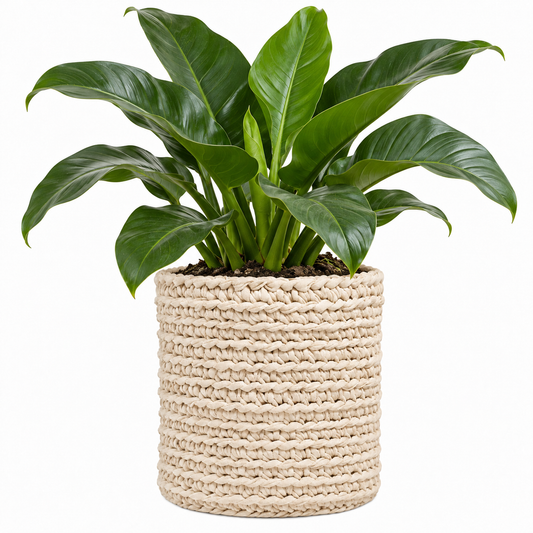 Cachepot Vaso Outdoor 40x45 Cru