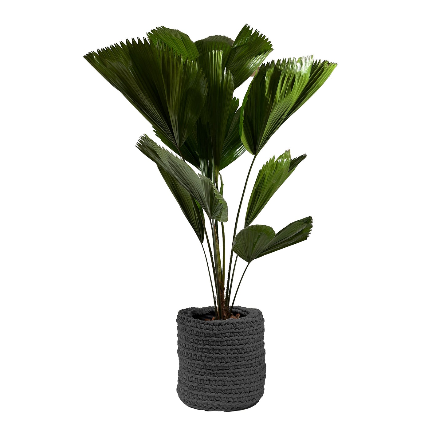 Cachepot Vaso Outdoor 40x45 Cinza