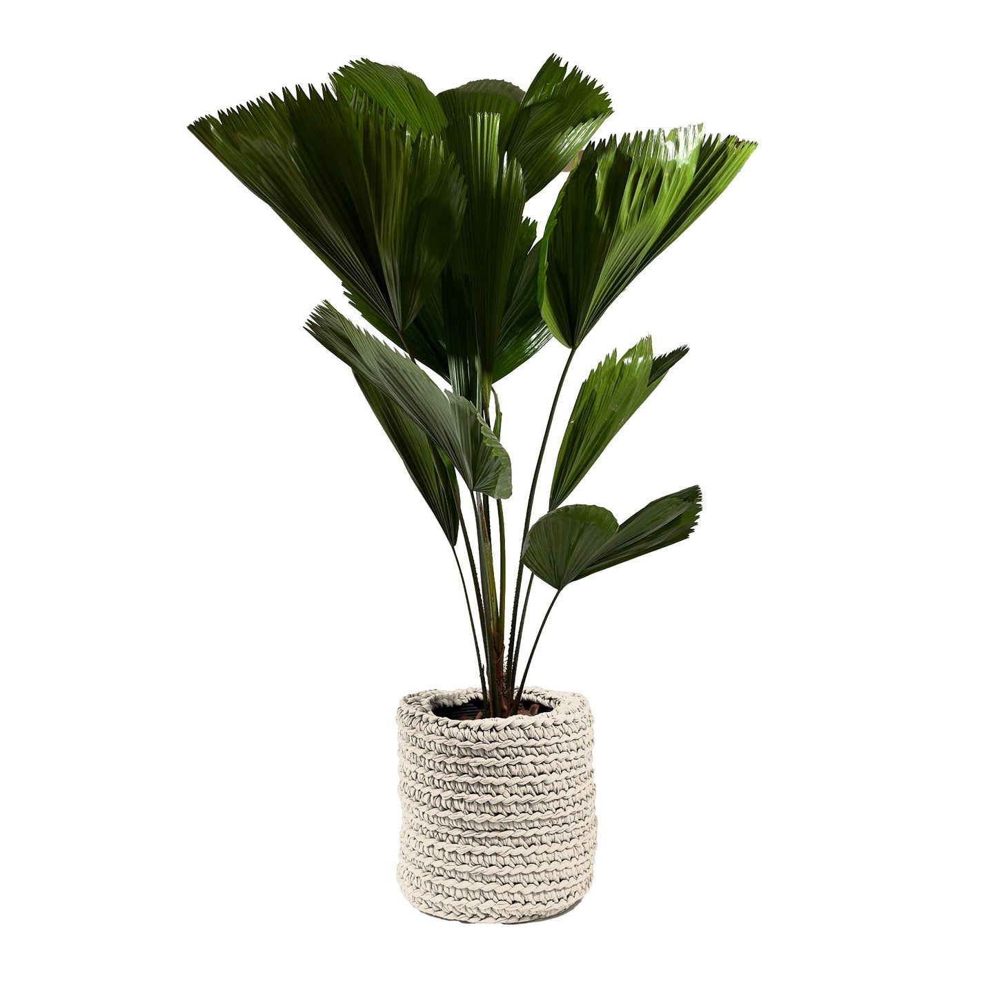 Cachepot Vaso Outdoor 40x45 Cru