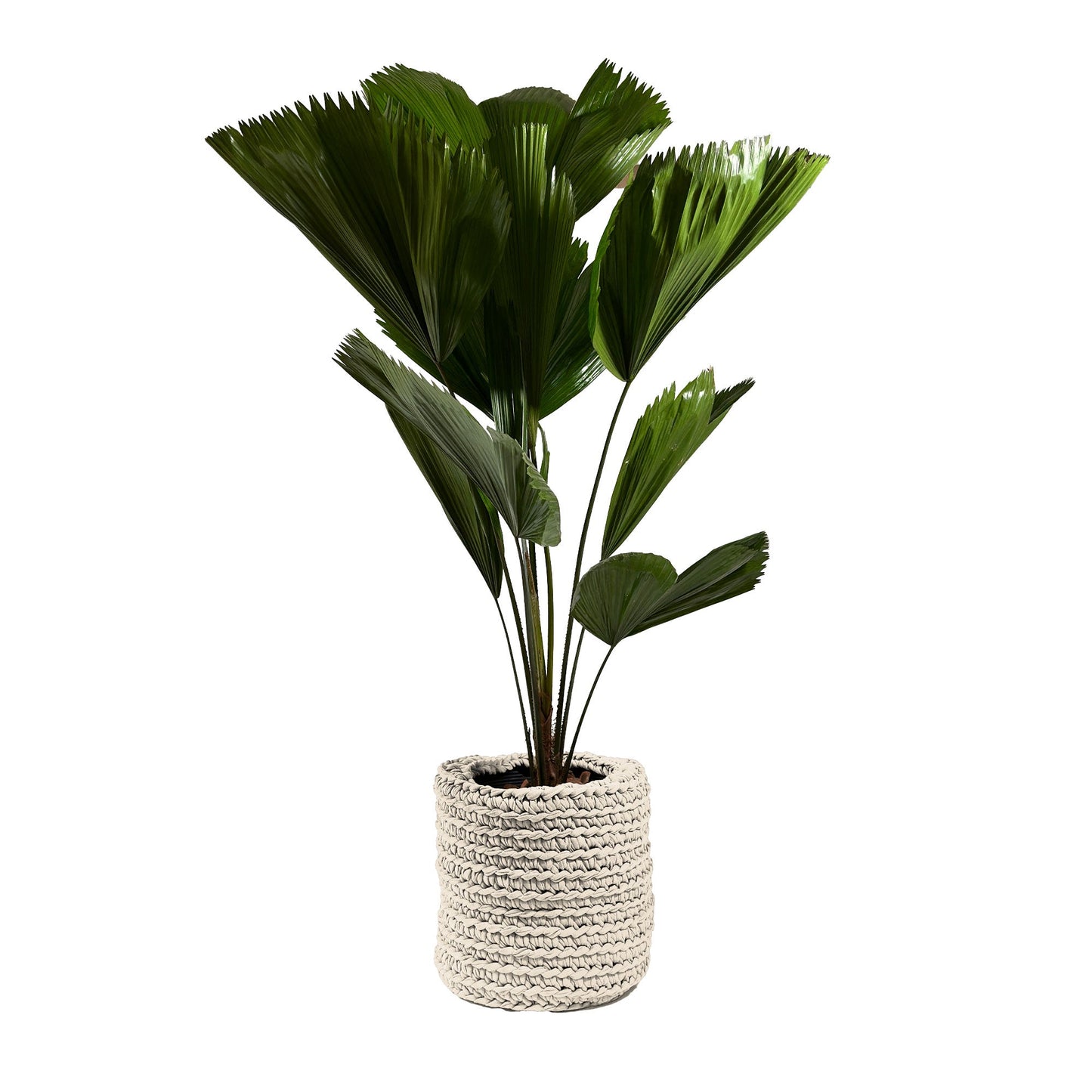 Cachepot Vaso Outdoor 40x45 Cru Pronta Entrega