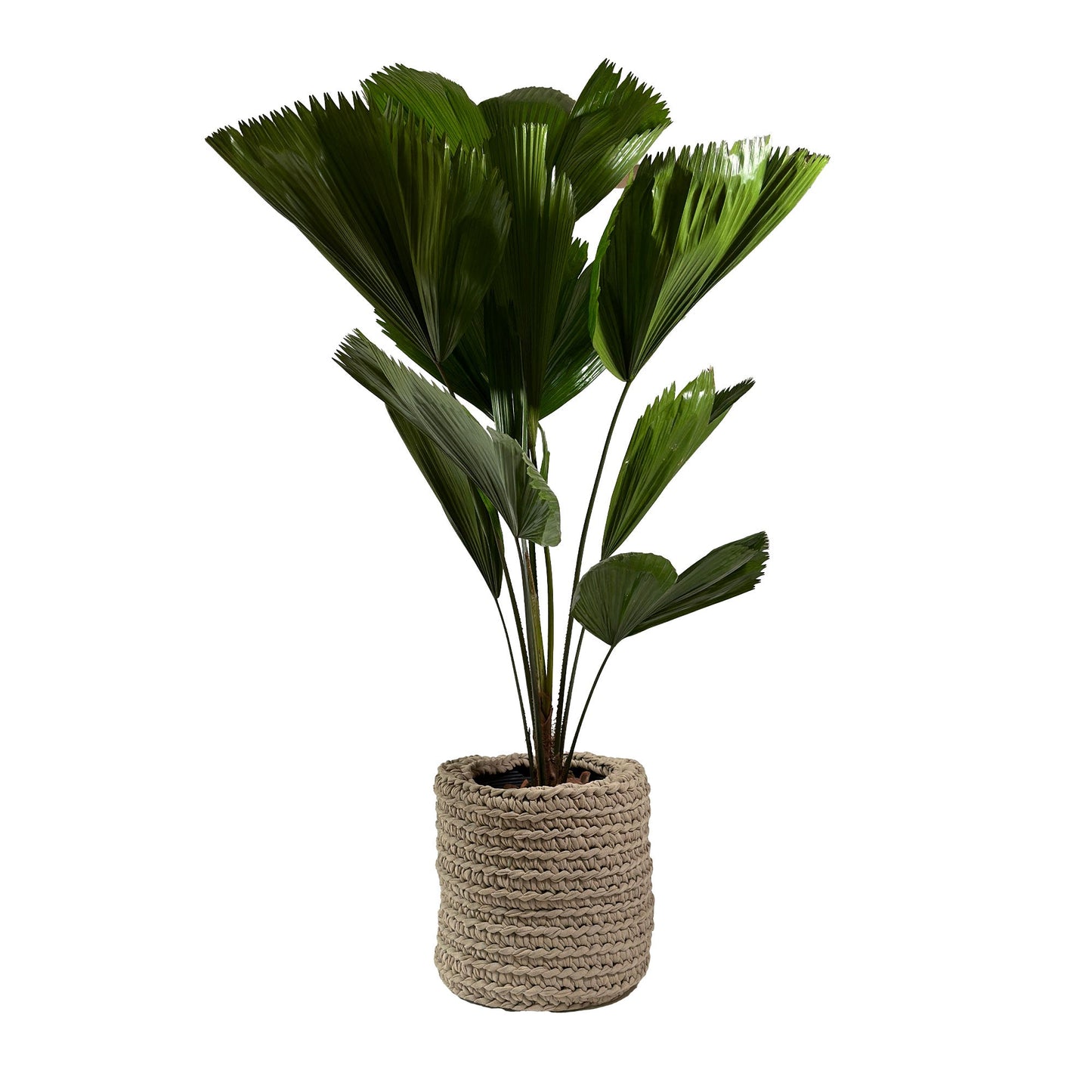 Cachepot Vaso Outdoor 40x45 Fendi Pronta Entrega