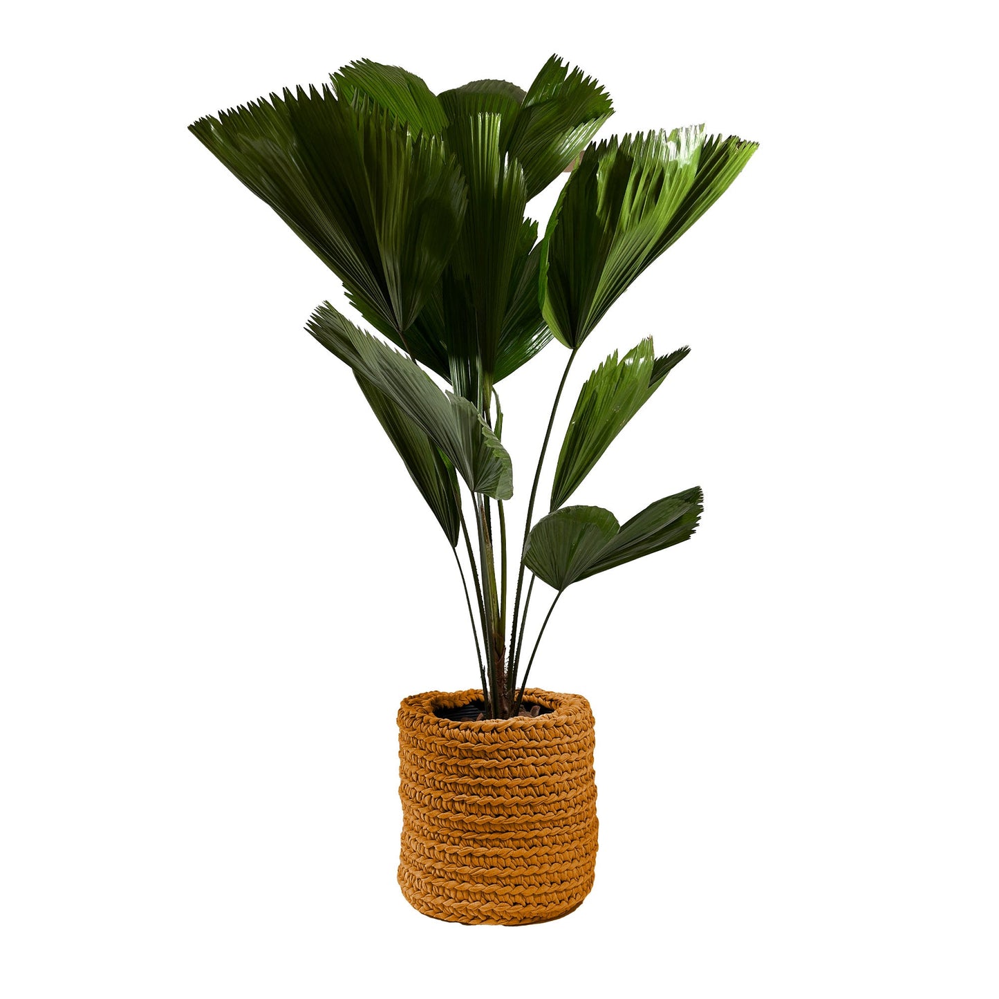 Cachepot Vaso Outdoor 40x45 Mostarda Pronta Entrega