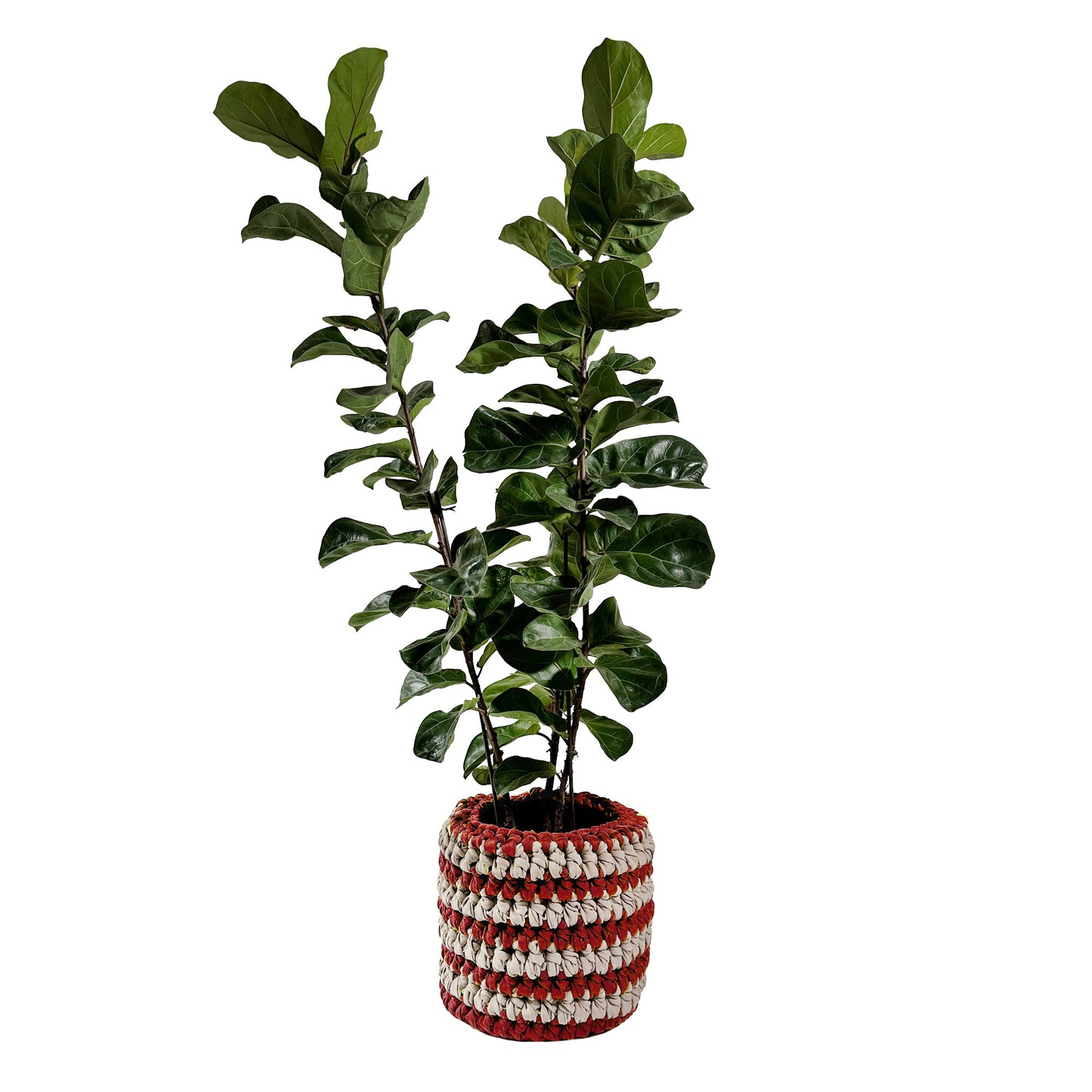 Cachepot Vaso Listra Outdoor 40x45 Figo