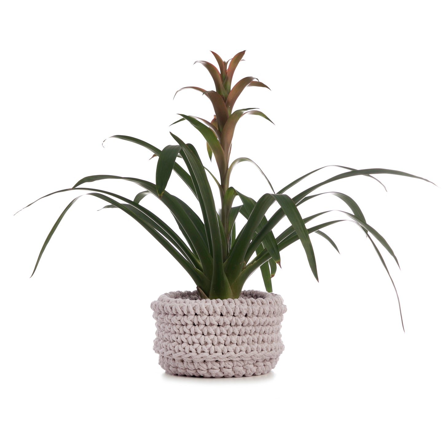 Cesta String 18x30 Areia