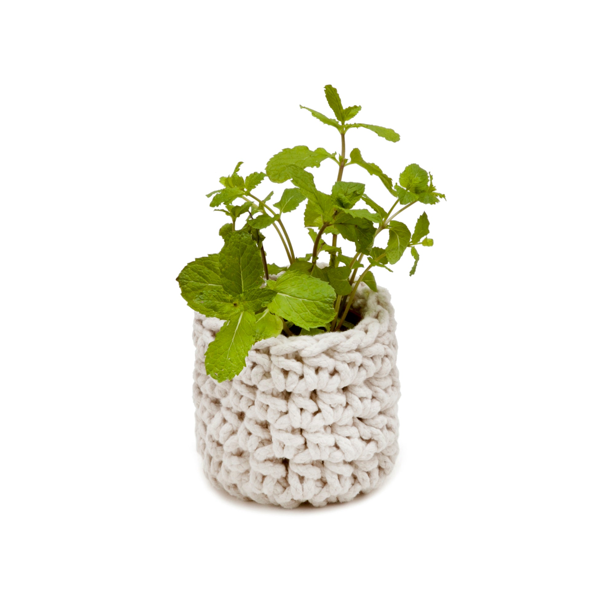 Cachepot Cru, em crochê artesanal e macramê, com fio 100% algodão. Ferragens na cor ouro velho. Dimensões: Altura - 15cm; Diâmetro - 12cm.