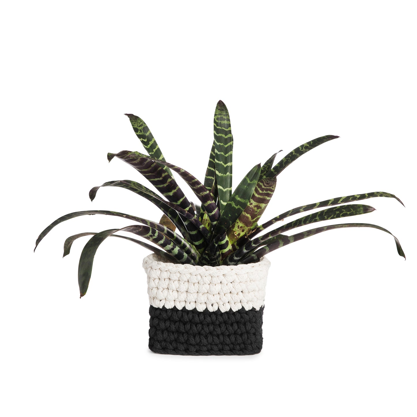 Vaso de crochê Bicolor, Preto/Cru, com fio 100% algodão.