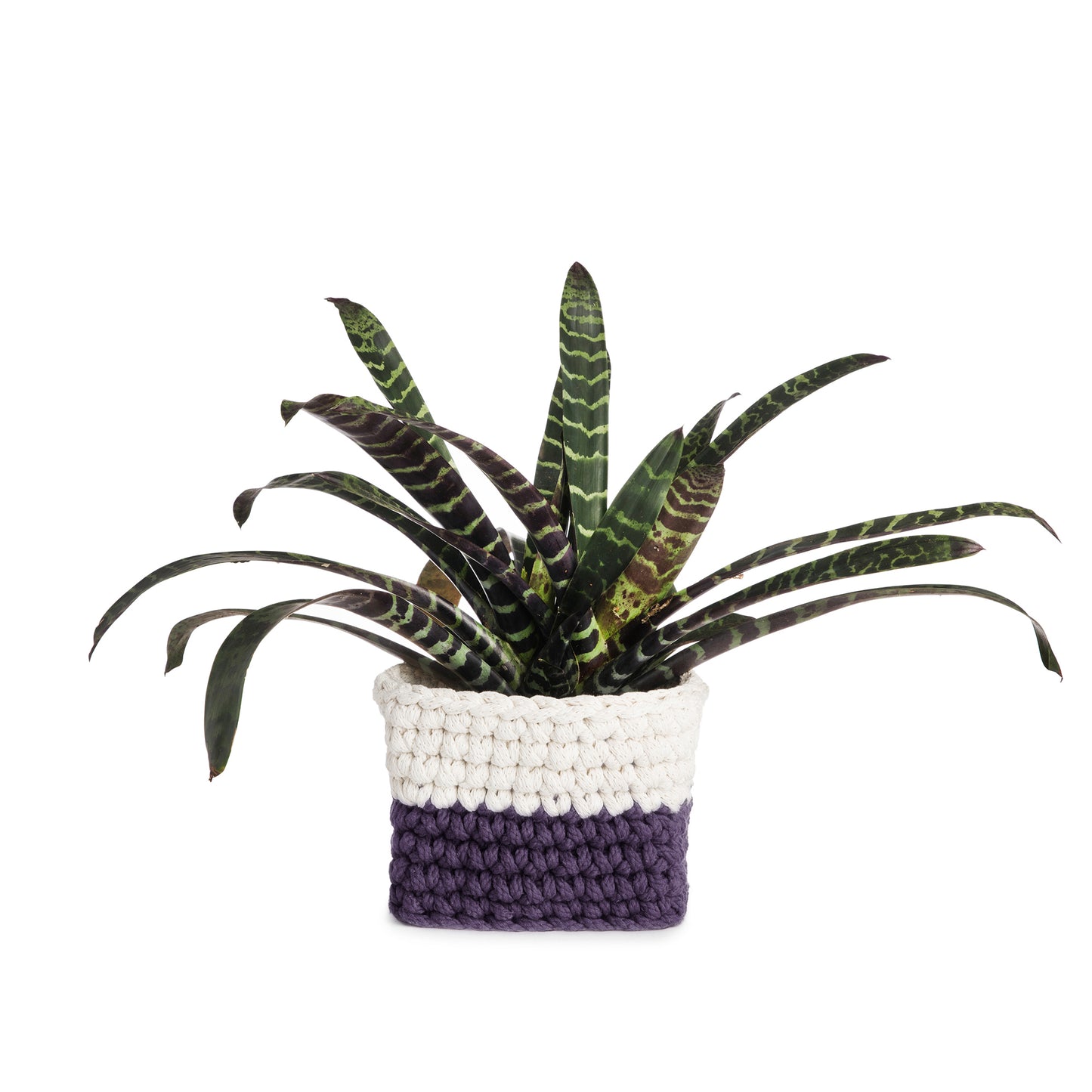 Vaso de crochê Bicolor, Roxo/Cru, com fio 100% algodão.