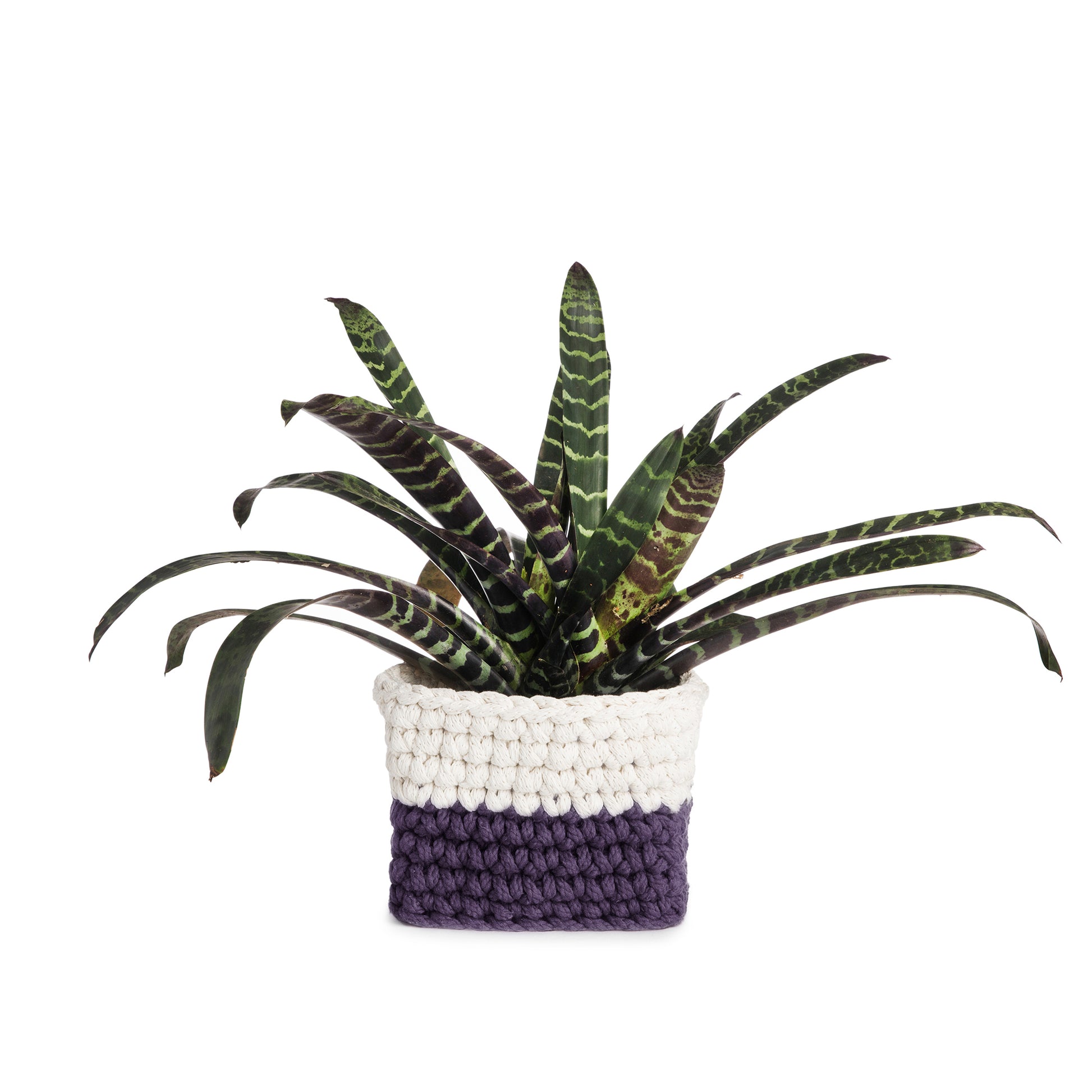 Vaso de crochê Bicolor, Roxo/Cru, com fio 100% algodão.