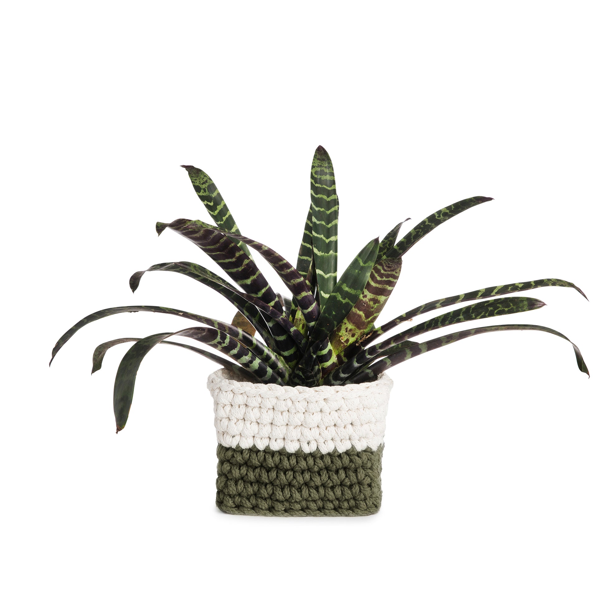 Vaso de crochê Bicolor, Verde/Cru, com fio 100% algodão.