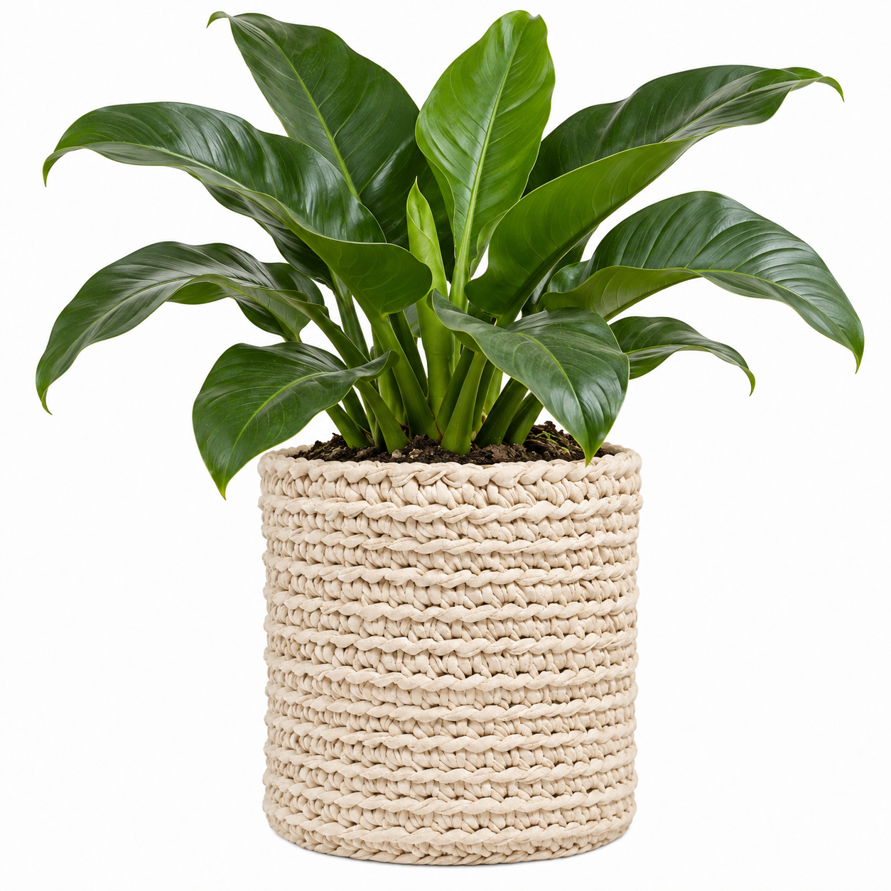 Cachepot Vaso Outdoor 40x45 Cru