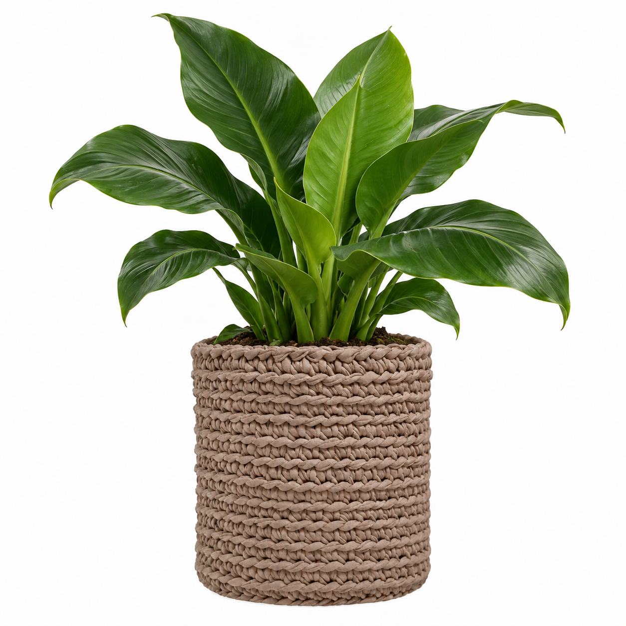 Cachepot Vaso Outdoor 40x45 Fendi