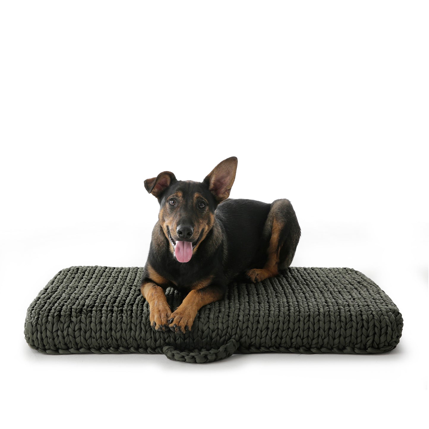 Cama para Cachorros em Tricô