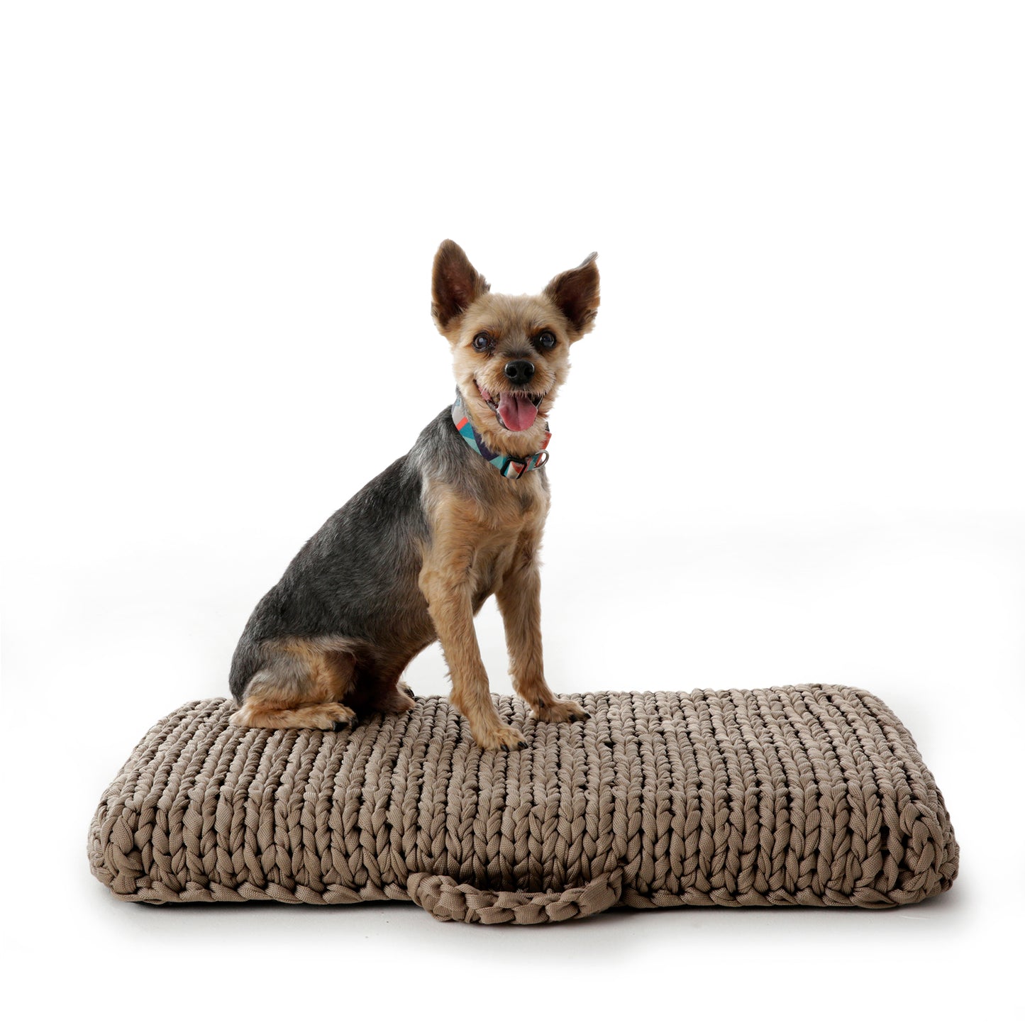 Cama para Cachorros em Tricô